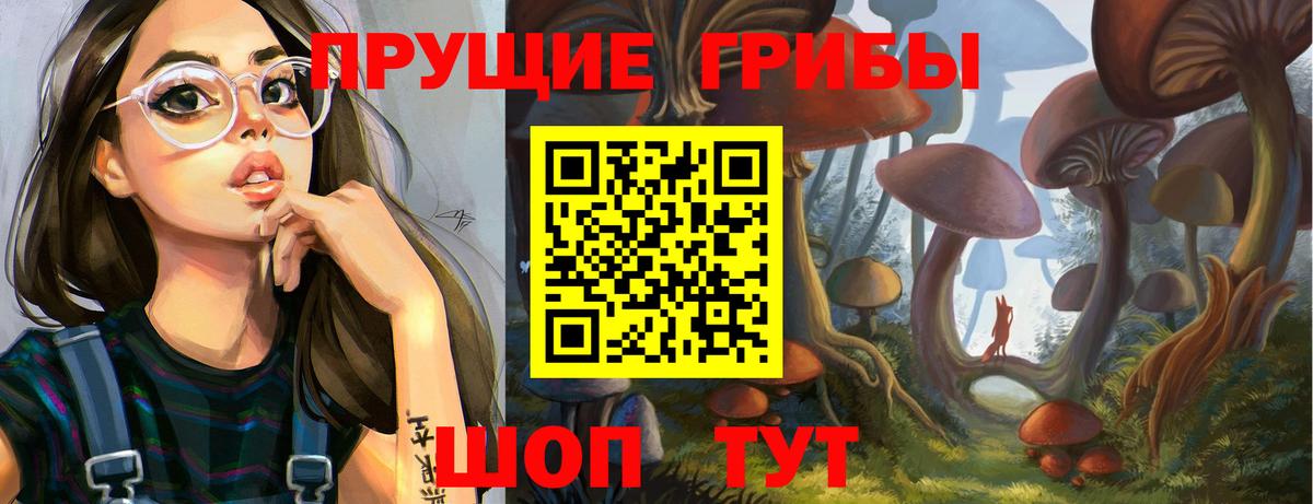 Галлюциногенные грибы Psilocybine cubensis  где купить   Советская Гавань  Вход с VPN 