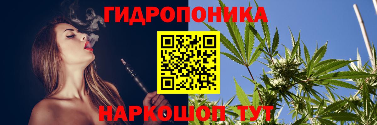 Бошки Шишки планчик  Шишки марихуана AK-47  Конопля план  Вход с VPN  Советская Гавань 